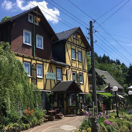 SteinheidHaus Rennsteigrose公寓 外观 照片
